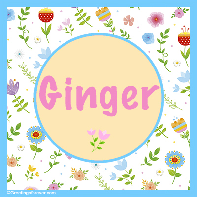 Image Name Ginger