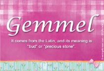 Meaning of the name Gemmel