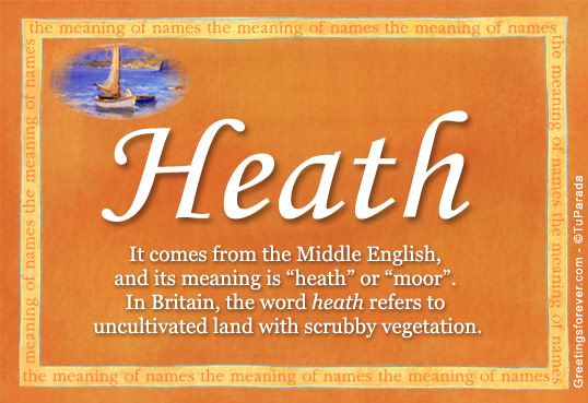 heath-name-meaning-heath-name-origin-name-heath-meaning-of-the-name