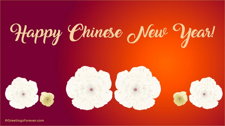 Happy chinese new year ecard