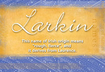 Meaning of the name Larkin