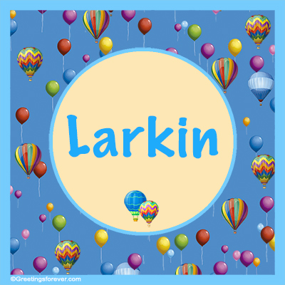 Image Name Larkin