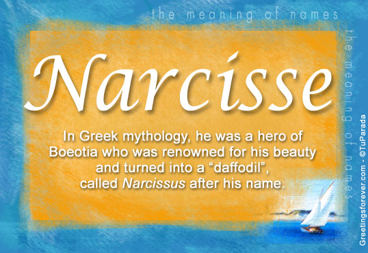 Narcisse