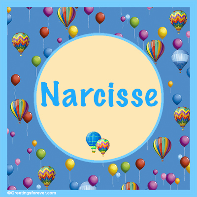 Image Name Narcisse