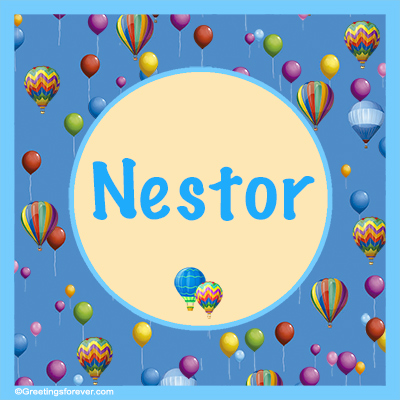 Image Name Nestor