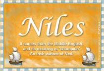 Meaning of the name Niles