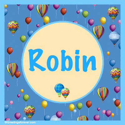 Image Name Robin
