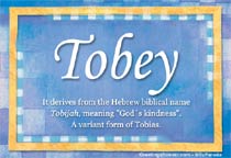 Meaning of the name Tobey