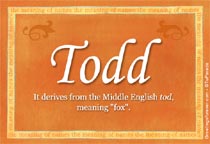 Meaning of the name Todd