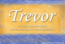 Meaning of the name Trevor