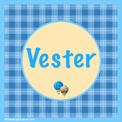 Image Name Vester