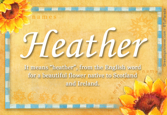 Origin And Meaning Of The Name Heather