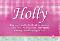 Meaning of the name Holly