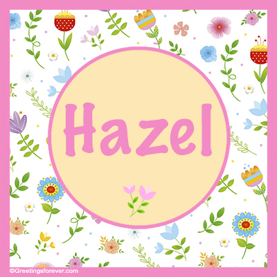 Image Name Hazel