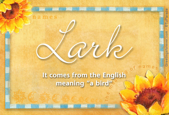 Lark