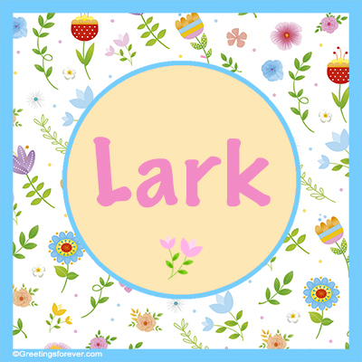 Image Name Lark