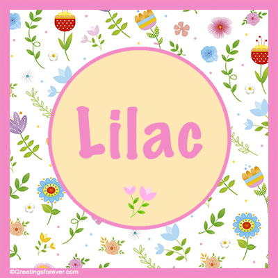 Image Name Lilac