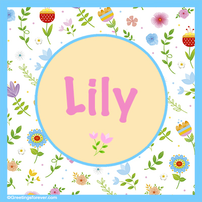 Image Name Lily