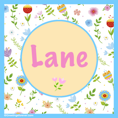Image Name Lane