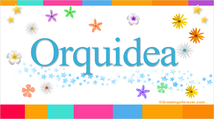 Nombre Orquidea, Imagen Significado de Orquidea