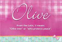Meaning of the name Olive