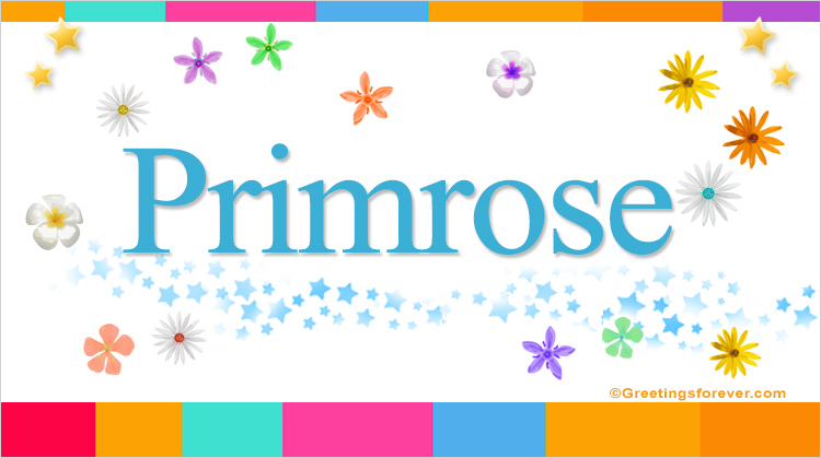 Nombre Primrose, Imagen Significado de Primrose