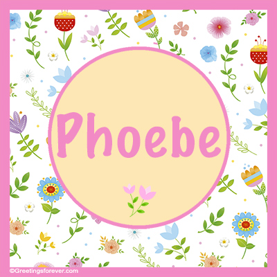 Image Name Phoebe