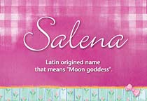 Meaning of the name Salena