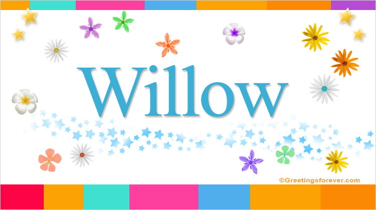 Nombre Willow, Imagen Significado de Willow