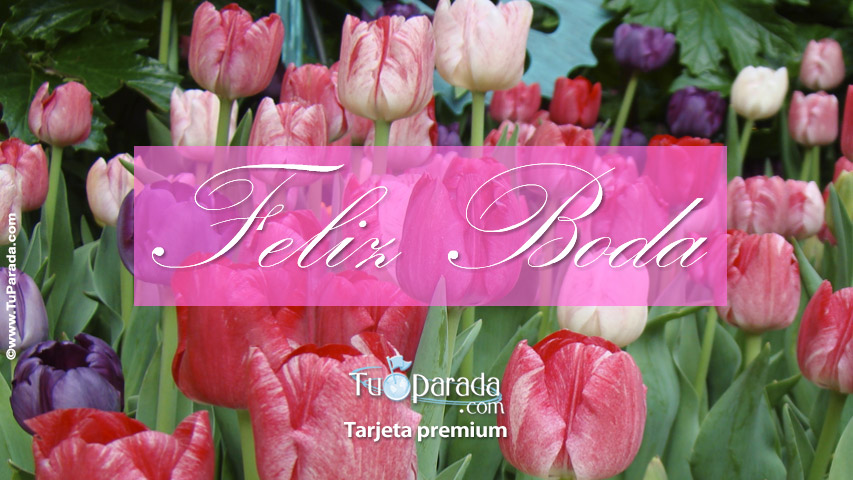 Tarjeta de feliz boda con tulipanes