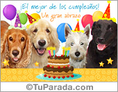 Tarjeta de cumpleaños con perros