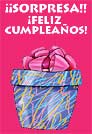 Sorpresa