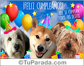 Feliz cumpleaños con muchos saludos