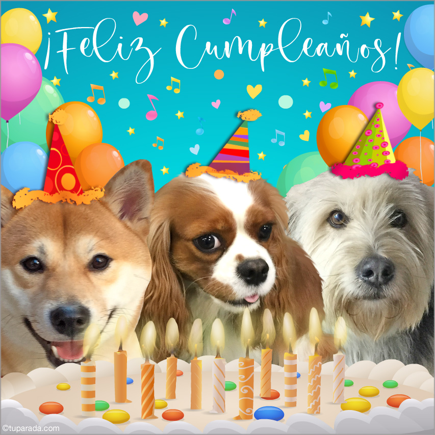 Tarjeta de cumpleaños con simpáticos perros