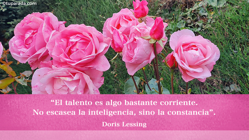 La inteligencia y la constancia - Frase de Doris Lessing