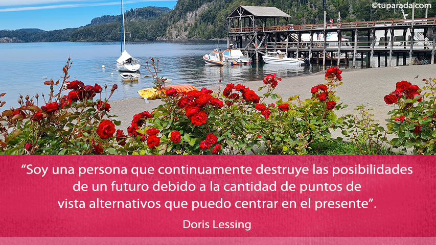 Cantidad de puntos de vista - Frase de Doris Lessing
