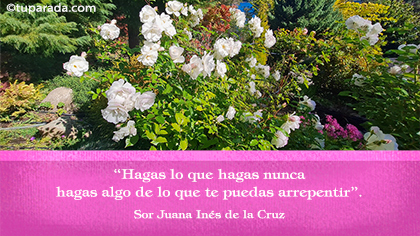 Tarjeta de Sor Juana Inés de la Cruz