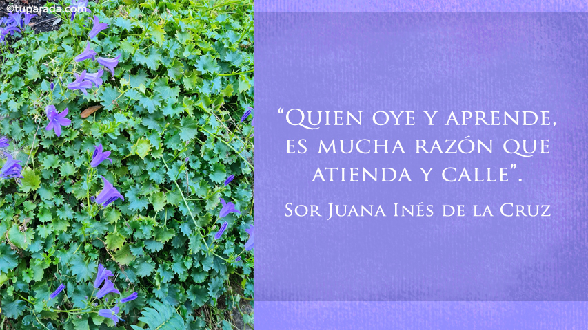 Frases de Sor Juana Inés de la Cruz