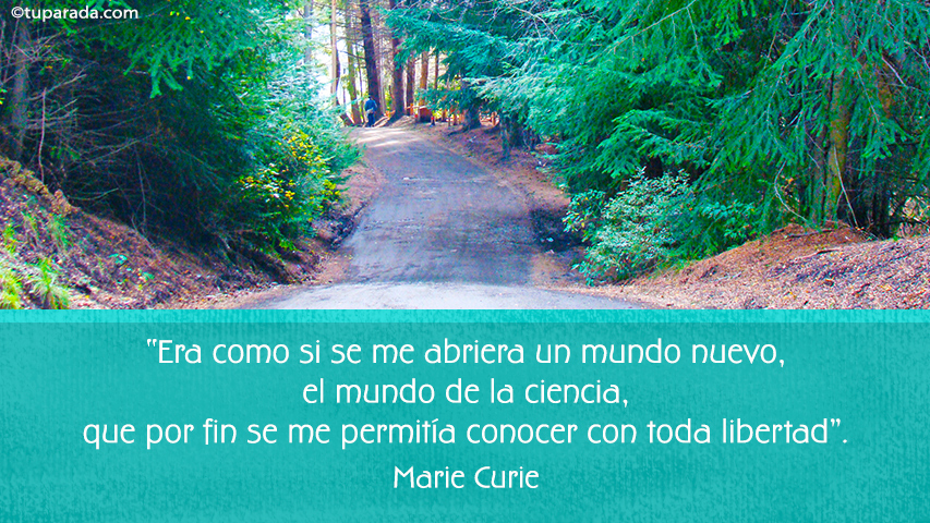 El mundo de la ciencia - Frase de Marie Curie