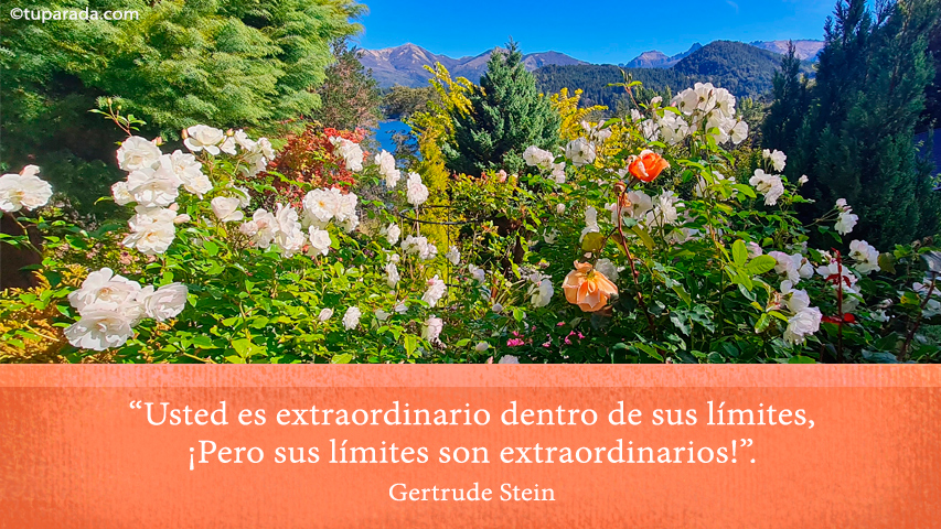 Límites extraordinarios - Frase de Gertrude Stein