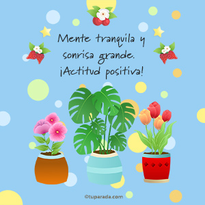 Tarjeta de actitud positiva y mente tranquila