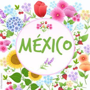 Tarjeta - Imagen de México y flores