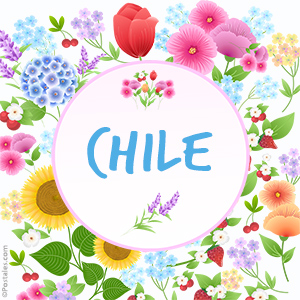 Imagen de Chile con flores