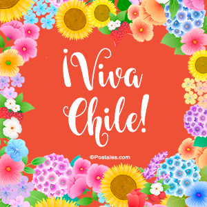 Imagen Viva Chile