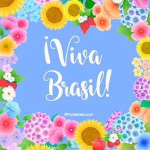 Imagen Viva Brasil