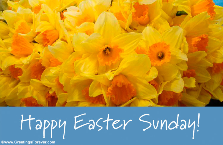 Easter ecard with yellow flowers