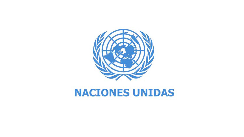 Organización de las Naciones Unidas (ONU)