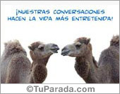 Nuestras conversaciones