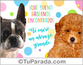 Tarjeta - Un gran abrazo
