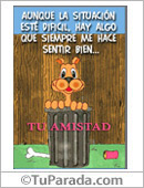 Tu amistad con gato en callejón